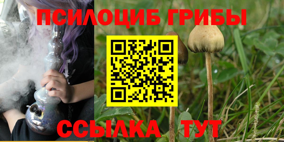 Псилоцибиновые грибы Magic Shrooms Мариинск